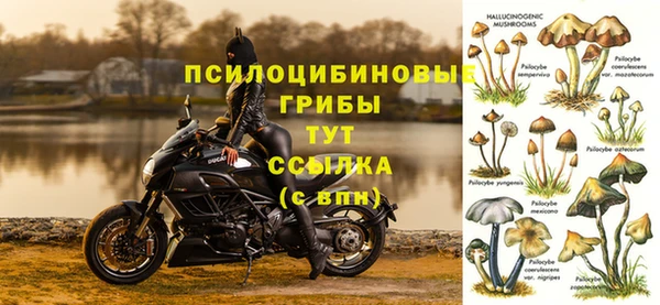 героин Белокуриха