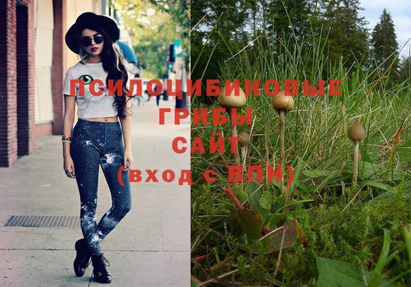 героин Белокуриха
