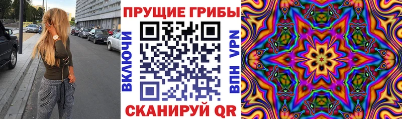 где купить наркотик  Обь  Псилоцибиновые грибы GOLDEN TEACHER 