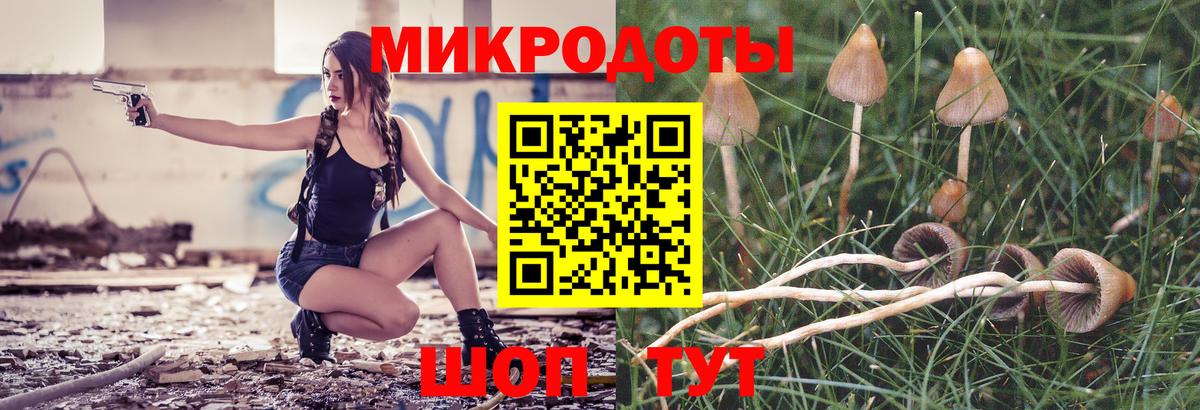 Псилоцибиновые грибы MAGIC MUSHROOMS  Вход с VPN  Обь  Галлюциногенные грибы Cubensis 