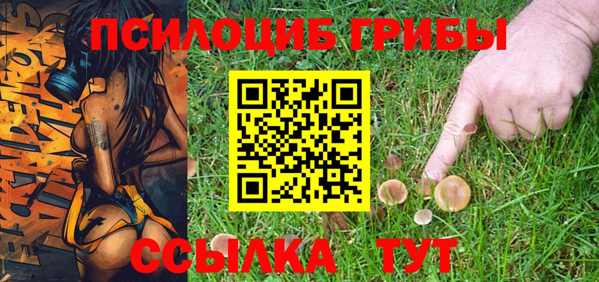 Галлюциногенные грибы Cubensis  магазин продажи наркотиков  Обь  Вход с VPN 