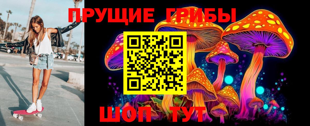 Галлюциногенные грибы Psilocybine cubensis Обь