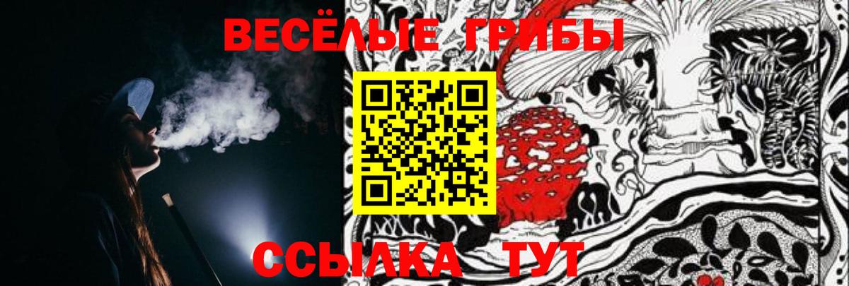 Псилоцибиновые грибы Magic Shrooms Обь